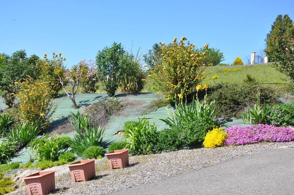 Bed and Breakfast La Bergerie Pollionnay Экстерьер фото